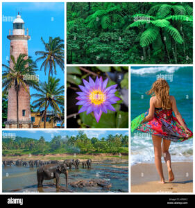 sri lanka travel collage ht06y2